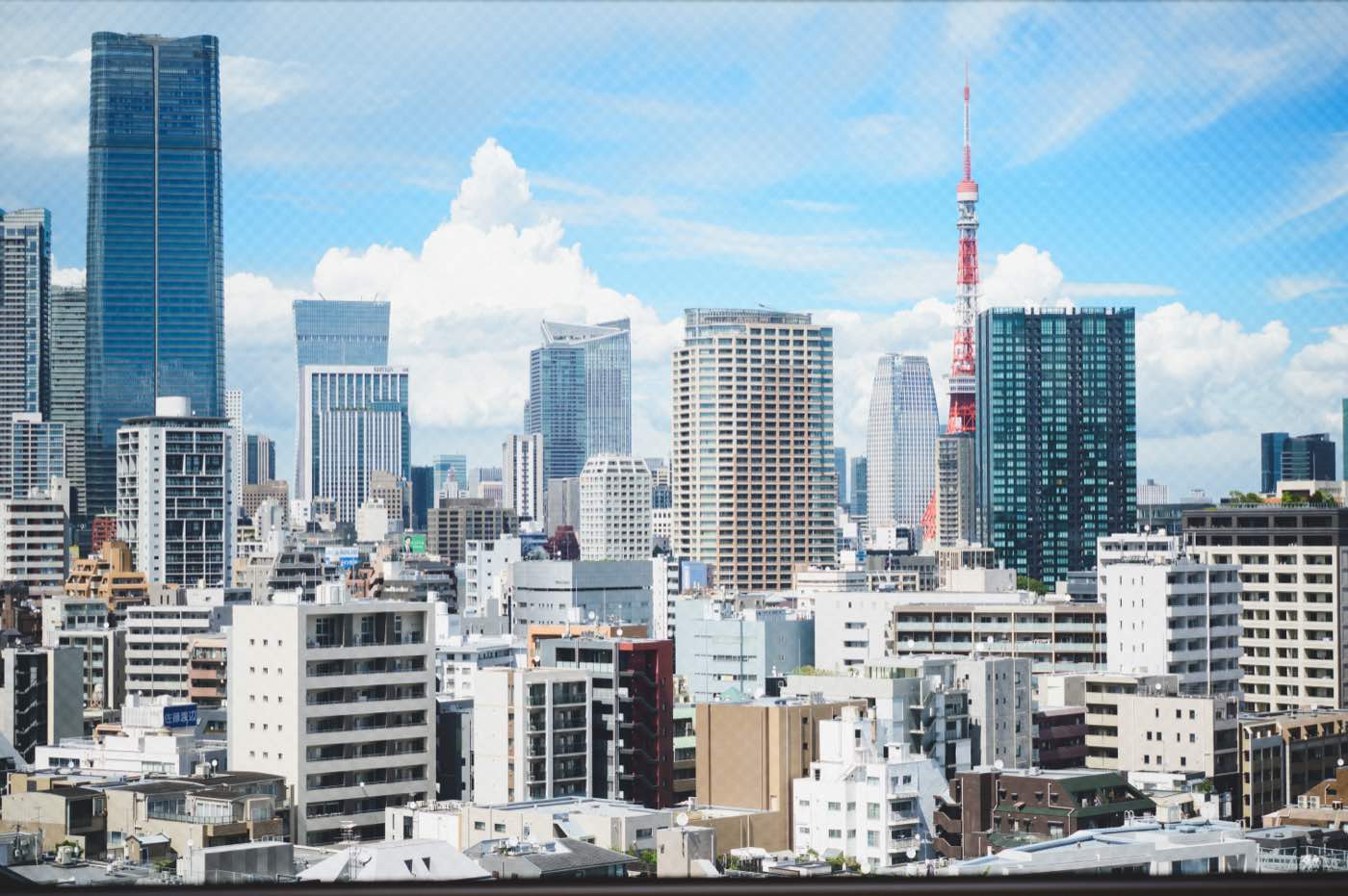 東京タワーを望む都心の眺望
